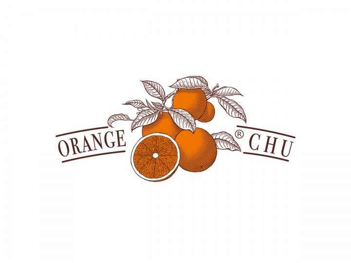 orange chu 橙子水果箱包装设计